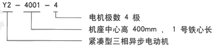 YR系列(H355-1000)高压YKS4507-8/355KW三相异步电机西安西玛电机型号说明